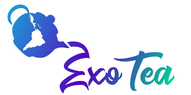 Logo, 